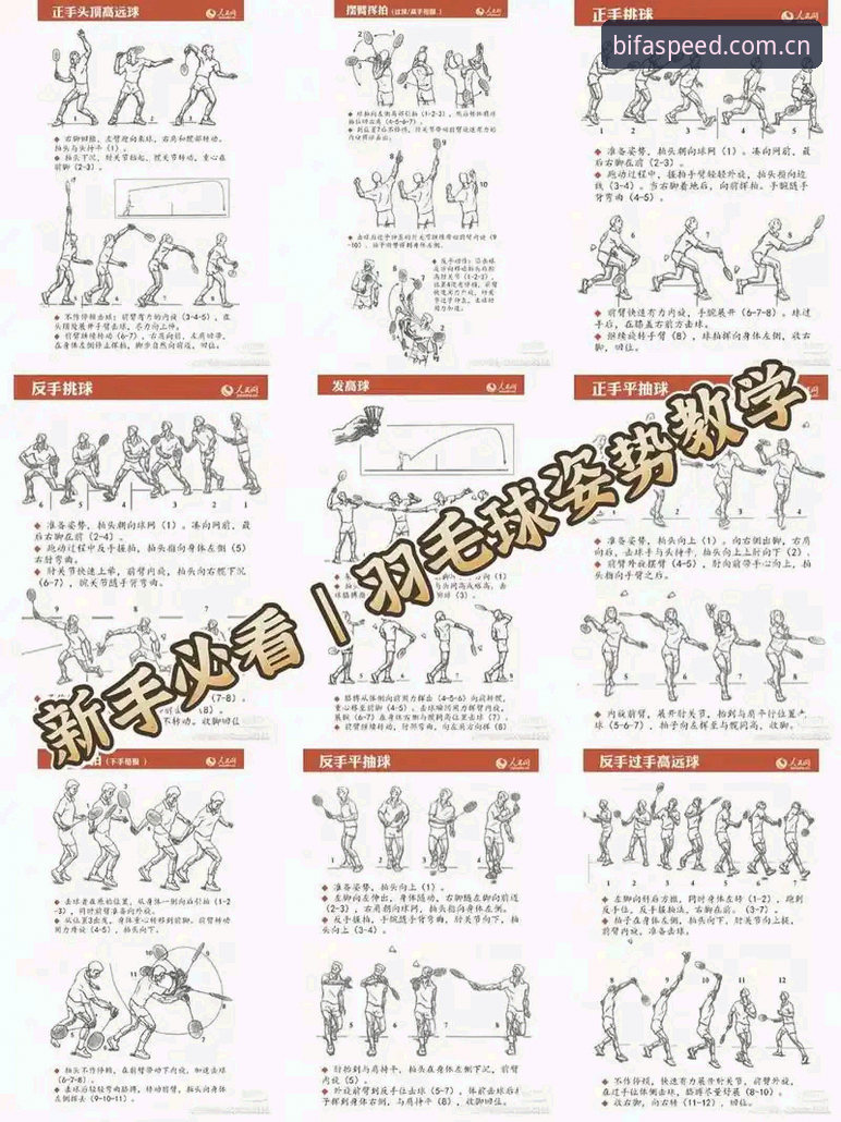 必发亚洲体育平台入门使用教程：快速掌握必发中国官方入口操作全流程